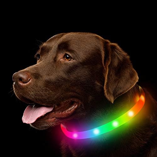 Многоцветен led нашийник за кучета, Акумулаторна батерия 7 цвята, което променя отбелязването на Яка за кучета, Осветление за кучета Прави домашен любимец видими и безопасен за нощни разходки на открито, на къмпинг,