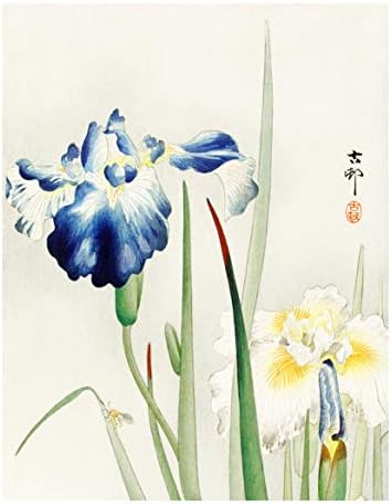 Японски ботанически щампи | Източно Цвете Стенно изкуство от Ink Inc. | Комплект от 6 8x10, без рамка