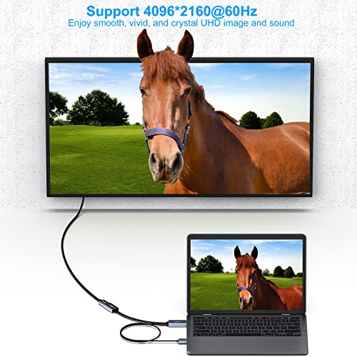 Адаптер BENFEI HDMI да DisplayPort, HDMI източник за монитора Дисплей, Съвместим с видеокартата на PC, Лаптоп PS5 Xbox One (360), поддържащи 4K @ 60Hz 2K @ 144Hz 1080P @ 165 Hz