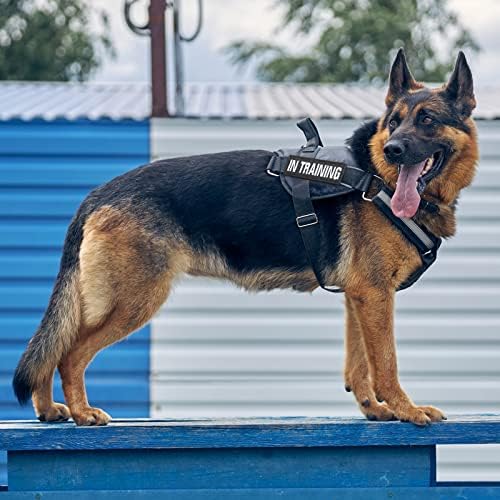 25 пакет служебна куче петна тактическа куче за кабели петна бродерия петна куче жилетка за кучета за тренировки американски флаг кръпка тактически петна подвижна яка каишка
